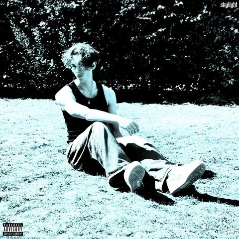 Skylight album art