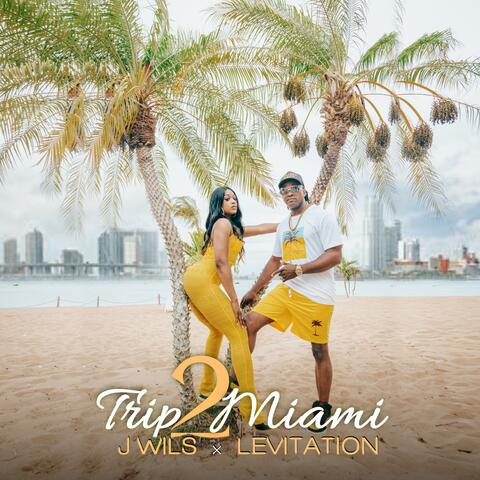 Trip 2 Miami album art