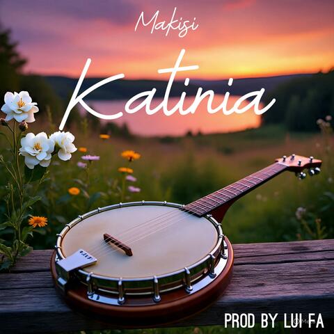 Katinia album art