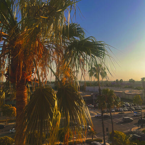 Palm: A Lofi Album album art