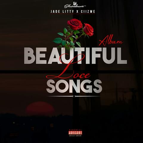 Beautiful L.S album art