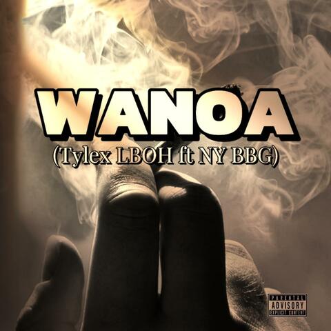 Wanoa (feat. NY BBG) album art
