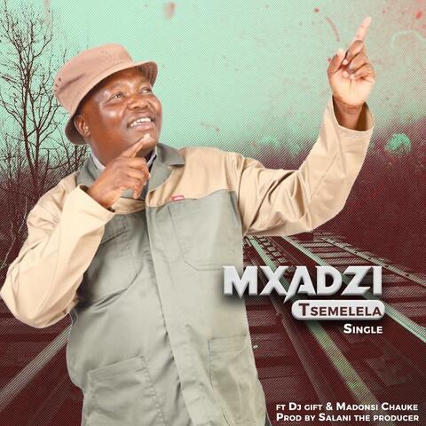 Tsemelela album art