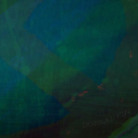 Dorsal Fin (Single Version) album art