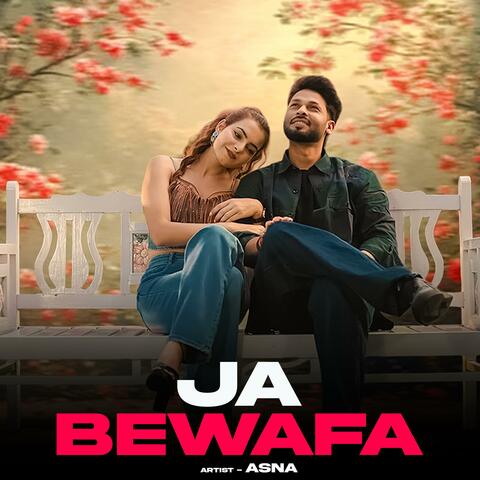 Ja Bewafa (feat. Haryana Hood Music) album art