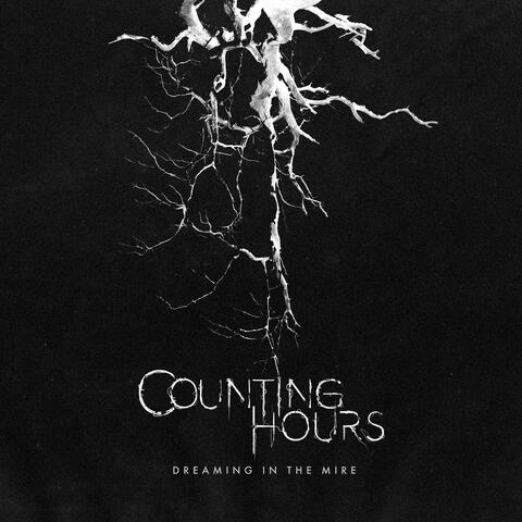 Dreaming In The Mire album art