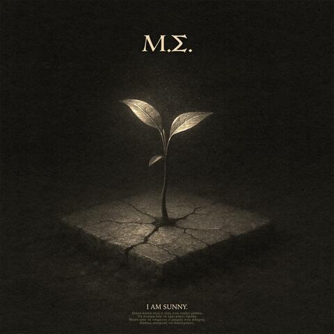 ΜΙΚΡΟΣ ΣΠΟΡΟΣ. album art