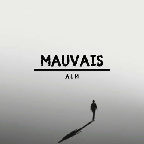 MAUVAIS album art