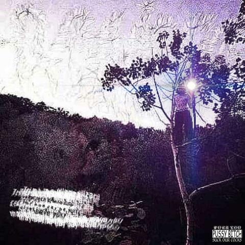 Place Your Trust In The Wizard... For He Will Save You album art