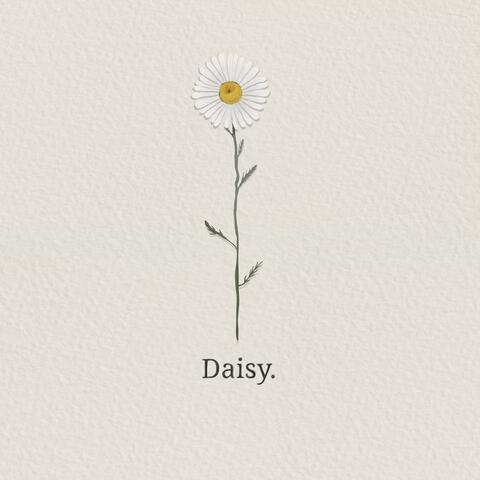 daisy album art