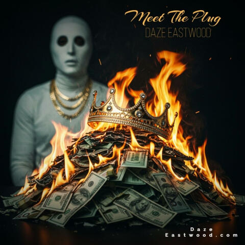 Meet The Plug album art