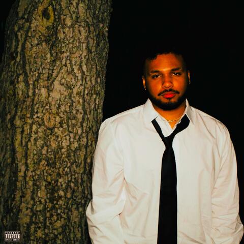DENIM album art