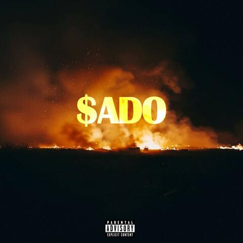 PEMBE200 / PISMAN DEGILIM album art