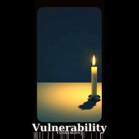 Vulnerability album art