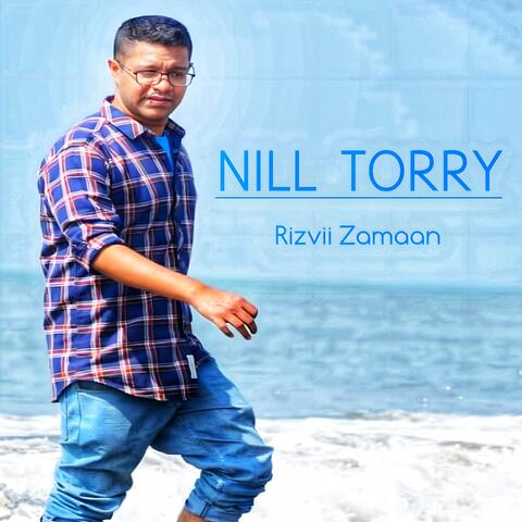 NILL TORRY album art