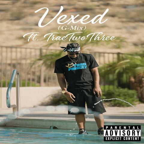 Vexed (G-Mix) (feat. Traetwothree) album art