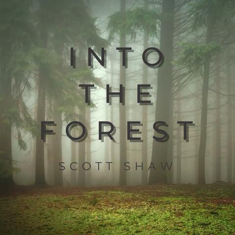 Into the Forest album art