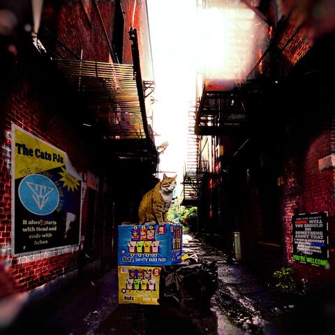 The Cats PJs album art