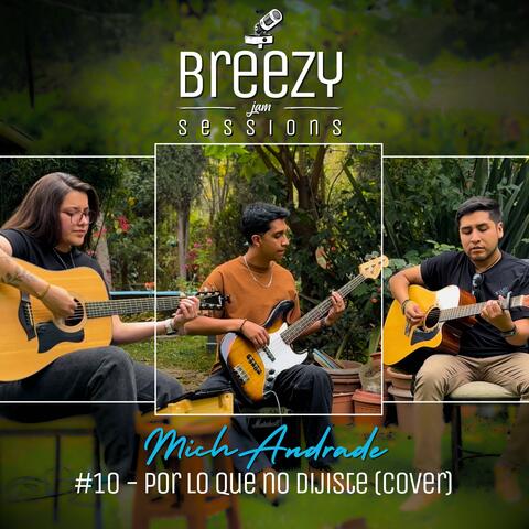 #BreezyJamSessions #10 - Por lo que no dijiste - Mich Andrade album art