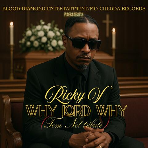 Why Lord Why (Tem Nel tribute) (Radio Edit) album art
