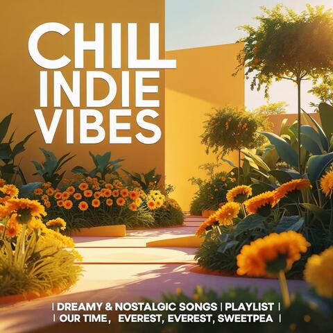 Chill Indie Vibes | Dreamy & Nostalgic Songs Playlist | Our Time, Everest, Sweetpea album art