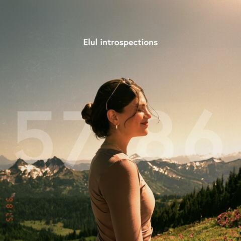Elul introspections album art
