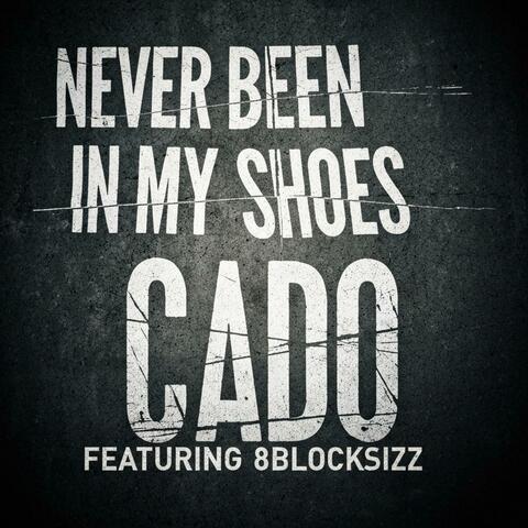 NEVER BEEN IN MY SHOES (feat. 8blocksizz) album art