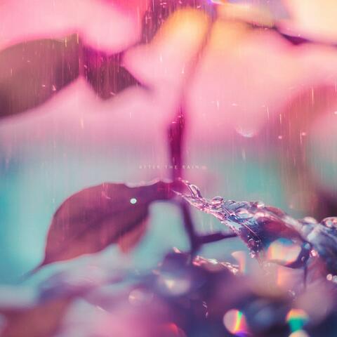 After the Rain album art