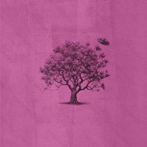 I'm Falling album art