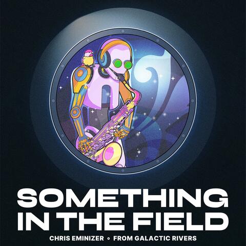 Something in the Field album art