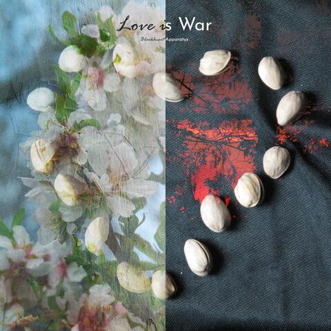 Love is War album art