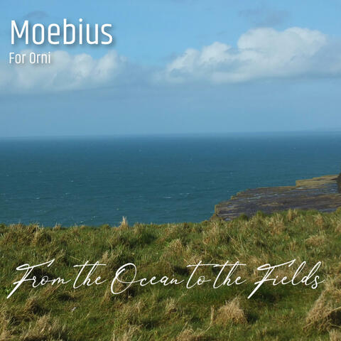 From the Ocean to the Fields (feat. orni) album art