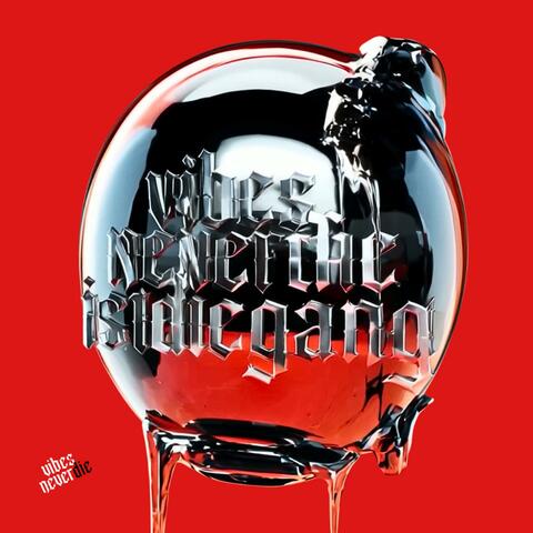 Vibes Never Die ist die Gang album art