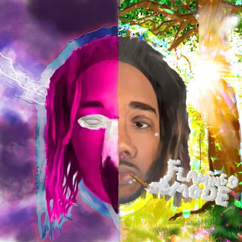 FLAMINGO MODE 2 album art