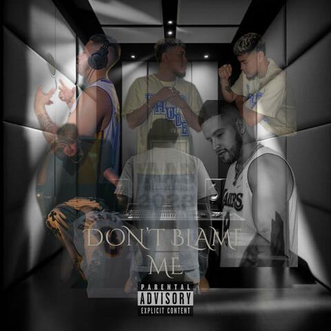 Don't Blame Me album art