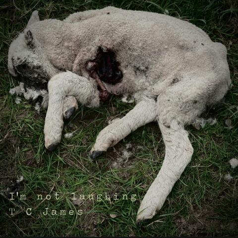 I'm not laughing album art