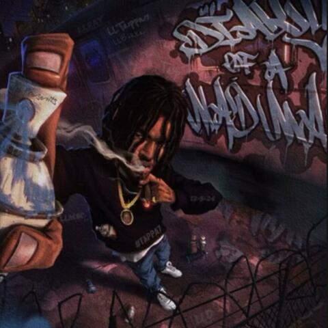 Diary Of A MadMann album art