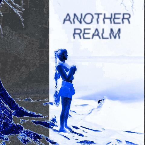 Another Realm album art