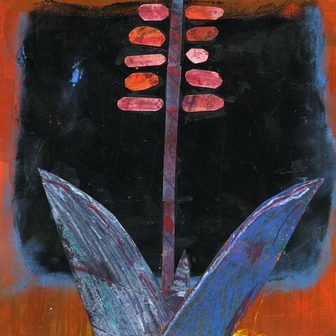 Century Plant album art