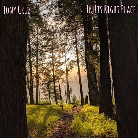 In Its Right Place album art