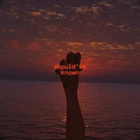 should've known album art