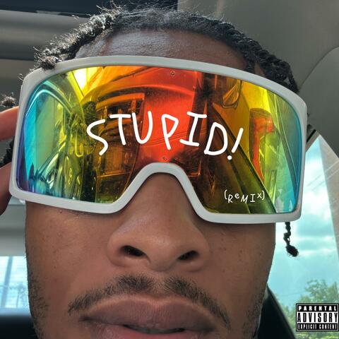 Stupid (Remix) album art