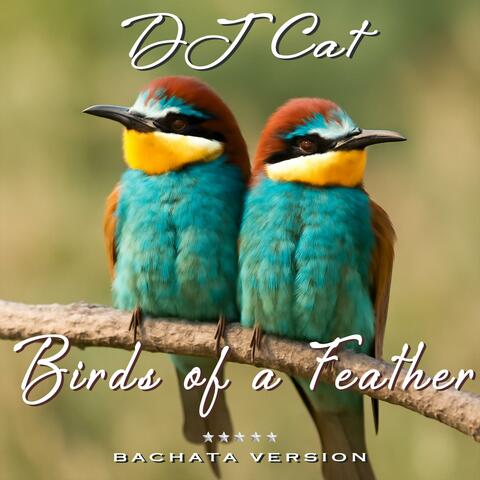 Birds of a Feather (Bachata Version) album art