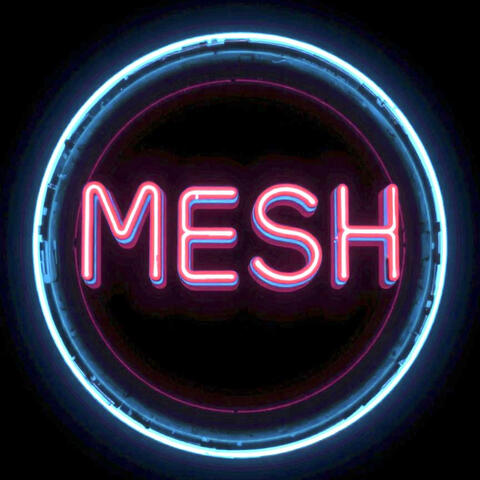 Mesh album art