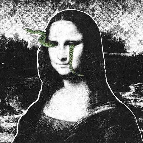 Snake In The Grass album art