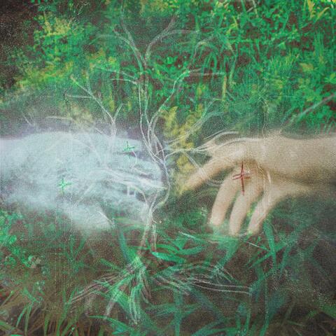 Touch Nobody album art