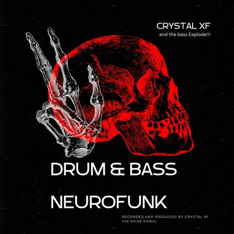 The Noise Signal album art