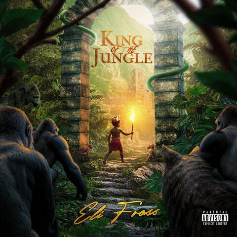 King Of The Jungle album art