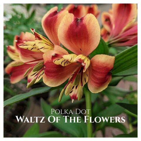 Waltz Of The Flowers album art