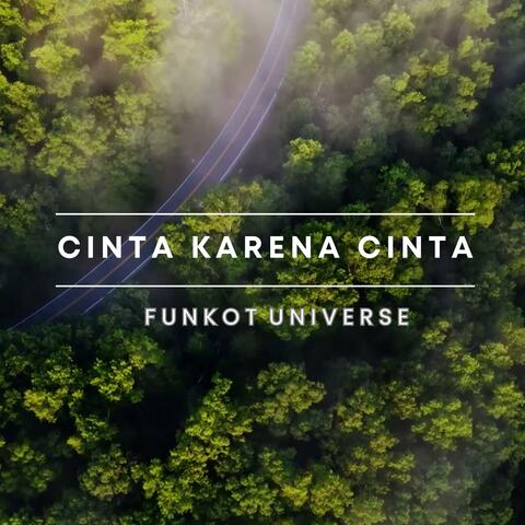 Cinta Karena Cinta (Funkot Universe Remix) album art